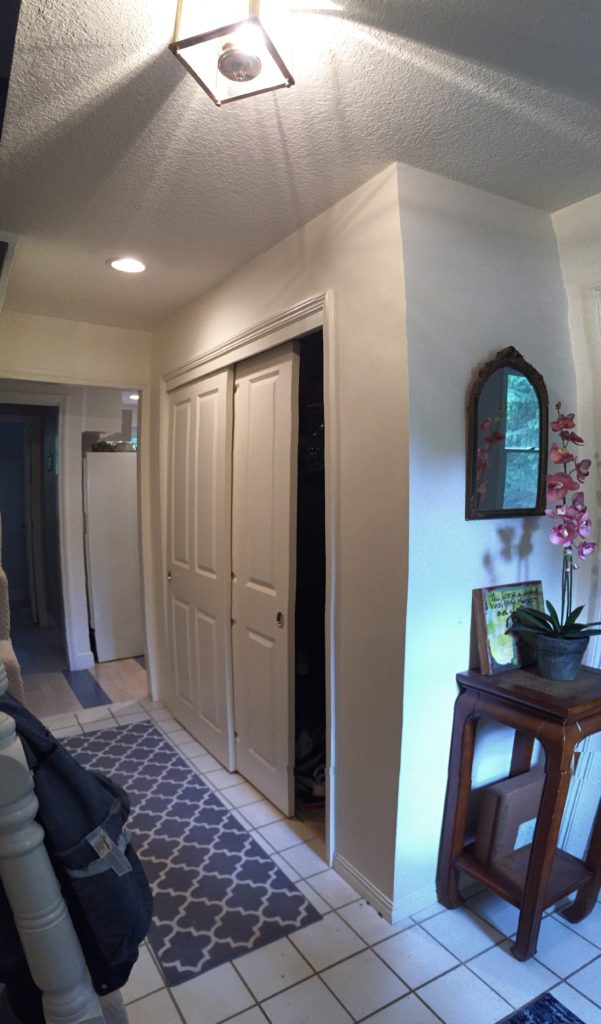 Double wide closet with bi-passing doors, white square tile, blue rug runner, plant stand